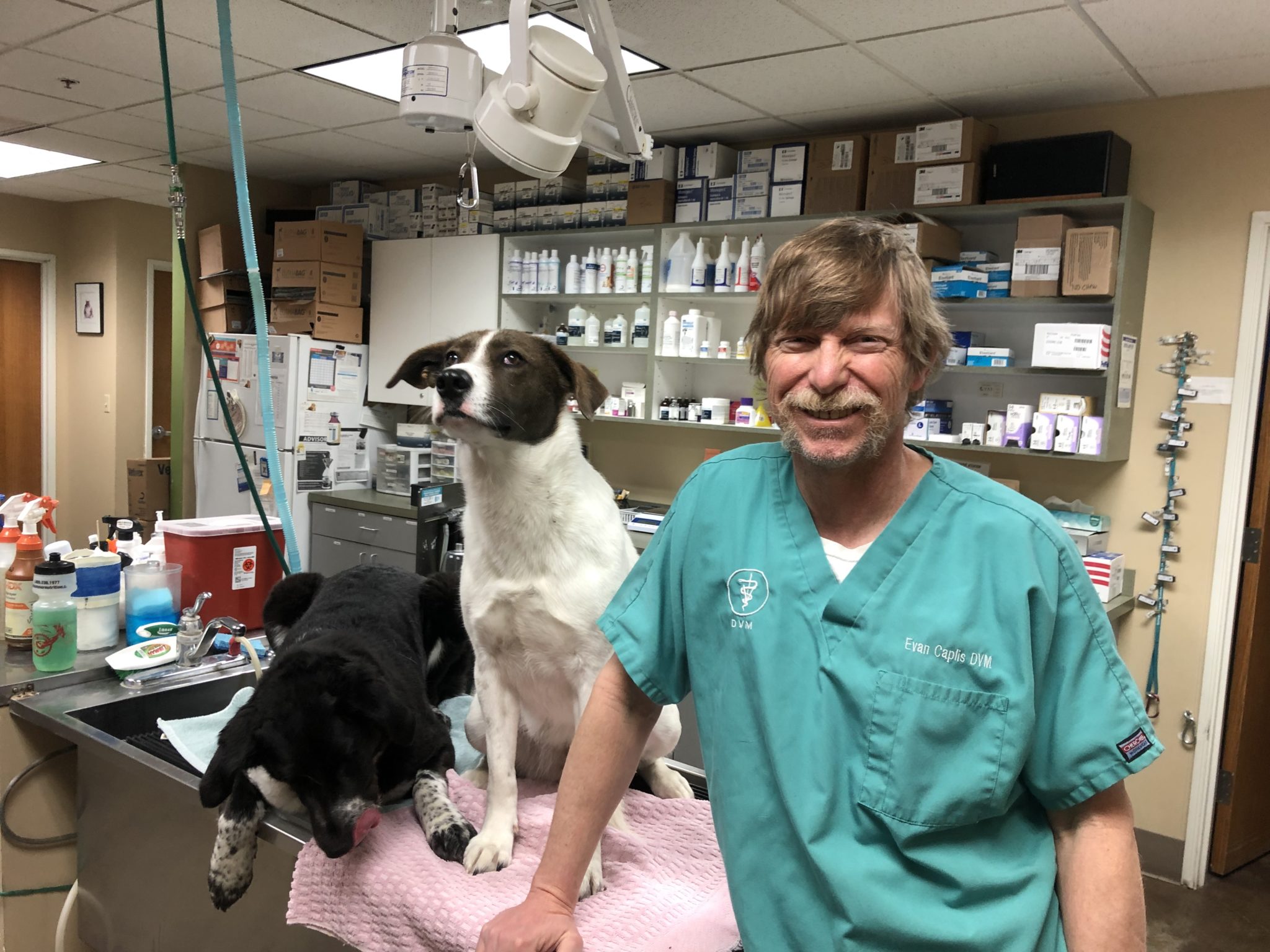 About Silver Creek Animal Clinic - Park City, UT